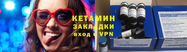 прущие грибы Няндома