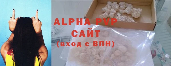 прущие грибы Няндома