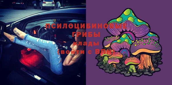 кокс Аркадак