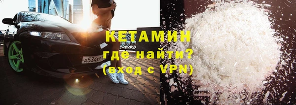 прущие грибы Няндома