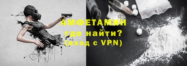прущие грибы Няндома