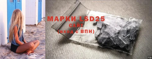 прущие грибы Няндома